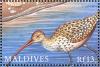 Colnect-1631-378-Eurasian-Curlew-Numenius-arquata.jpg