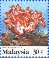 Colnect-2188-069-Carnation-Coral-Dendronephthya-sp.jpg