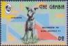 Colnect-2339-157-Lurcher-Canis-lupus-familiaris.jpg