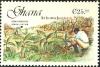 Colnect-2354-507-Cocoa-Industry.jpg