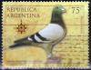 Colnect-3125-973-Carrier-Pigeon-Columba-livia-forma-domestica.jpg