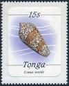 Colnect-4501-331-Conus-textile.jpg