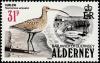 Colnect-4565-917-Eurasian-Curlew-Numenius-arquata.jpg