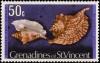Colnect-5862-896-Rooster-Conch-Strombus-gallus.jpg