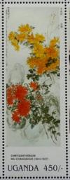 Colnect-6034-477-Chrysanthemum.jpg