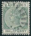 STS-Barbados-1-300dpi.jpg-crop-267x309at194-2470.jpg