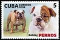 Colnect-1022-432-Bulldog-Canis-lupus-familiaris.jpg