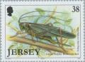 Colnect-127-989-Great-Green-Bush-Cricket-Tettigonia-viridissima.jpg