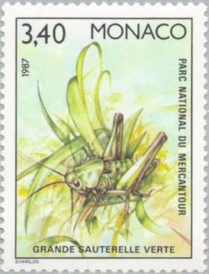 Colnect-149-204-Great-Green-Bush-Cricket-Tettigonia-viridissima.jpg