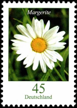Colnect-5200-224-Chrysanthemum.jpg