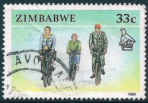 STS-Zimbabwe-3-300dpi.jpg-crop-510x357at1508-1292.jpg