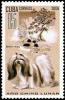 Colnect-1022-418-Shih-Tzu-Canis-lupus-familiaris.jpg