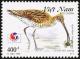 Colnect-1613-152-Eurasian-Curlew-Numenius-arquata.jpg