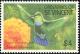 Colnect-1753-970-Green-throated-Carib-Sericotes-holosericeus.jpg