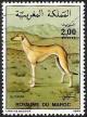 Colnect-2470-210-Sloughi-Canis-lupus-familiaris.jpg