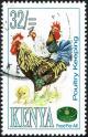 Colnect-3368-871-Poultry-Breeding---Chicken-Gallus-gallus-domesticus-.jpg