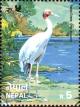 Colnect-4969-243-Sarus-Crane-Grus-antigone.jpg