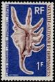 Colnect-853-870-Scorpion-Conch-Lambis-scorpius.jpg