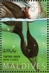 Colnect-1631-413-Tufted-Duck-Aythya-fuligula.jpg