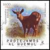 Colnect-2623-931-South-Andean-Deer-Hippocamelus-bisulcus.jpg