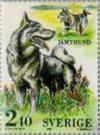 Colnect-430-399-J-auml-mtland-Dog-Canis-lupus-familiaris.jpg