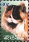 Colnect-5661-595-Dilute-calico.jpg
