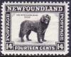 Colnect-6141-803-Newfoundland-Dog-Canis-lupus-familiaris.jpg