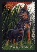 Colnect-3534-396-Blue-Heeler-Dog-Canis-lupus-familiaris.jpg