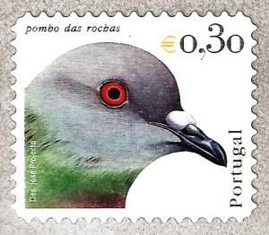 Colnect-1401-304-Rock-Dove-Columba-livia.jpg