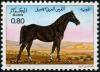 Colnect-2037-434-Horse-Equus-ferus-caballus.jpg