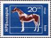 Colnect-4024-247-Horse-Equus-ferus-caballus.jpg