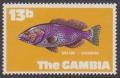 Colnect-1653-533-Rock-Hind-Epinephelus-adscensionis.jpg