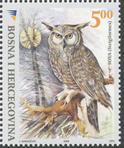 Colnect-1515-760-Long-eared-Owl-Asio-otus.jpg