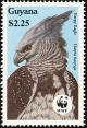 Colnect-1664-160-Harpy-Eagle-Harpia-harpyja.jpg