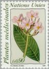 Colnect-138-416-Medicinal-flowers-Plumeria-rubra.jpg
