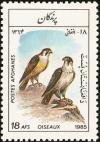 Colnect-1624-230-Peregrine-Falcon-Falco-peregrinus.jpg