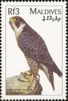 Colnect-1631-930-Peregrine-Falcon-Falco-peregrinus.jpg