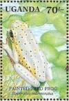 Colnect-1714-684-Painted-Reed-Frog-Hyperolius-marmoratus.jpg