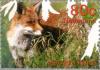 Colnect-182-204-Red-Fox-Vulpes-vulpes.jpg