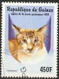 Colnect-1097-963-Snowshoe-Felis-silvestris-catus.jpg