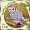 Colnect-3566-063-Southern-White-faced-Owl---Ptilopsis-granti.jpg