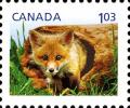 Colnect-770-880-Red-Fox-Vulpes-vulpes.jpg