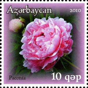 Colnect-1604-572-Flora-Flowers---General%C2%A0.jpg