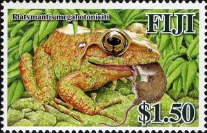 Colnect-1613-867-Giant-Fiji-ground-frog-Platymantis-megabotoniviti.jpg