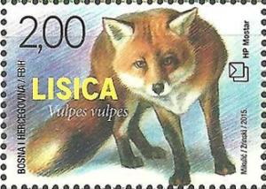 Colnect-3154-322-Red-Fox-Vulpes-vulpes.jpg