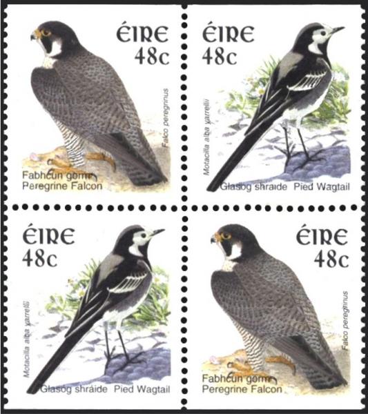 Colnect-1902-354-Peregrine-Falcon-and-Pied-Wagtail.jpg