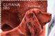 Colnect-4863-474-Field-Spaniel.jpg