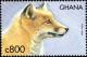 Colnect-6035-678-Red-Fox-Vulpes-vulpes.jpg