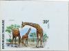 Colnect-1472-436-Giraffe-Giraffa-camelopardalis.jpg