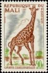 Colnect-2354-712-Giraffe-Giraffa-camelopardalis.jpg